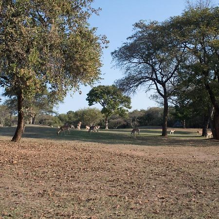 Kruger Park Lodge Unit 245 ヘイジービュー エクステリア 写真