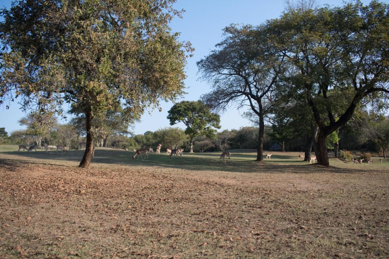 Kruger Park Lodge Unit 245 ヘイジービュー エクステリア 写真
