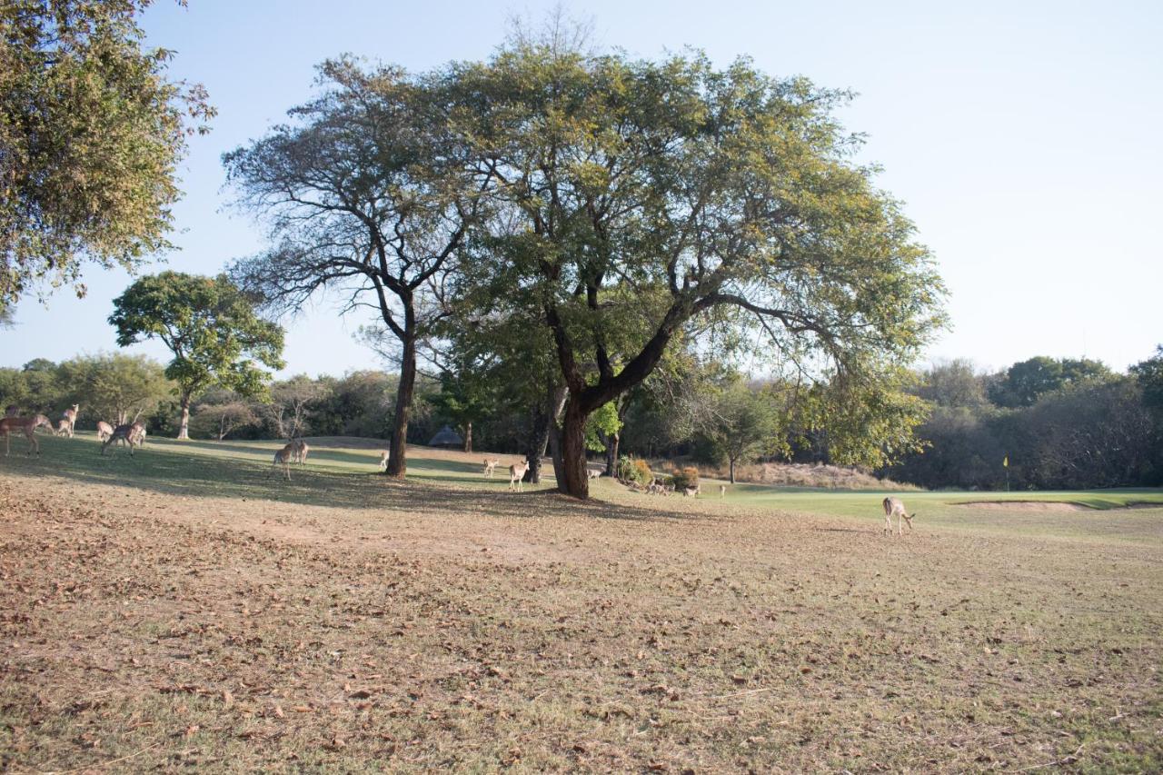 Kruger Park Lodge Unit 245 ヘイジービュー エクステリア 写真